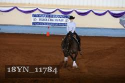 18YN_11784 thumbnail