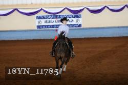 18YN_11785 thumbnail