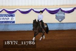 18YN_11786 thumbnail