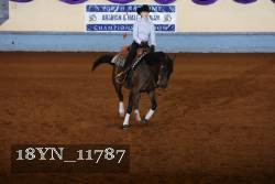 18YN_11787 thumbnail