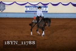18YN_11788 thumbnail