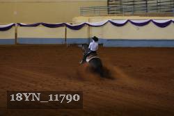 18YN_11790 thumbnail