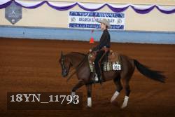18YN_11793 thumbnail