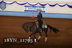 18YN_11795 thumbnail