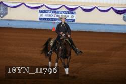 18YN_11796 thumbnail