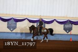 18YN_11797 thumbnail