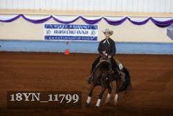 18YN_11799 thumbnail