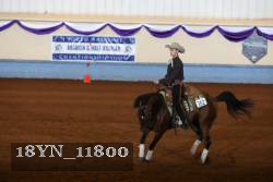 18YN_11800 thumbnail