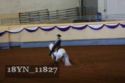 18YN_11827 thumbnail