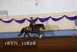 18YN_11828 thumbnail