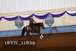 18YN_11829 thumbnail