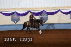 18YN_11831 thumbnail