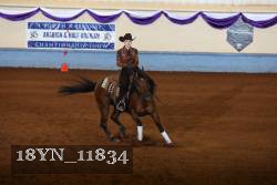 18YN_11834 thumbnail