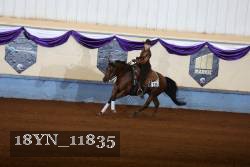 18YN_11835 thumbnail