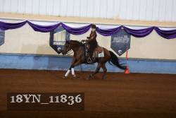 18YN_11836 thumbnail