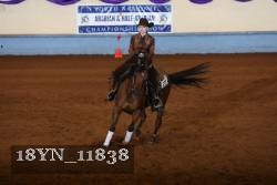 18YN_11838 thumbnail