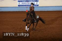 18YN_11839 thumbnail