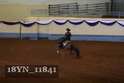 18YN_11841 thumbnail