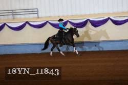 18YN_11843 thumbnail