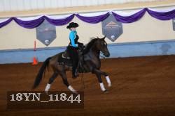 18YN_11844 thumbnail