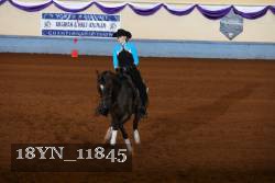 18YN_11845 thumbnail