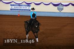 18YN_11846 thumbnail