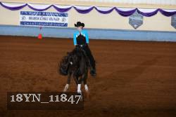 18YN_11847 thumbnail