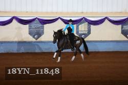 18YN_11848 thumbnail