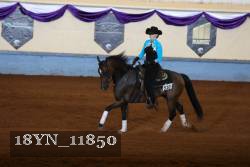 18YN_11850 thumbnail