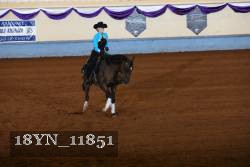 18YN_11851 thumbnail