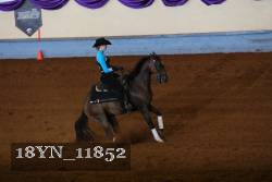 18YN_11852 thumbnail