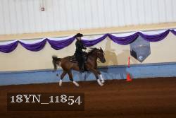18YN_11854 thumbnail