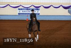 18YN_11856 thumbnail