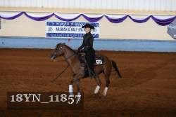 18YN_11857 thumbnail