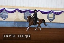 18YN_11858 thumbnail