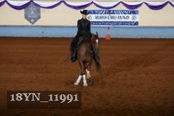 18YN_11991 thumbnail