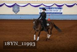 18YN_11993 thumbnail