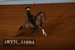 18YN_11994 thumbnail