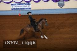 18YN_11996 thumbnail