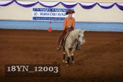 18YN_12003 thumbnail