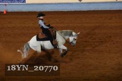 18YN_20770 thumbnail