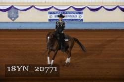 18YN_20771 thumbnail