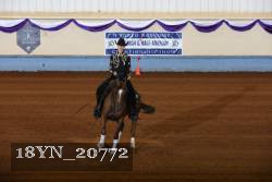 18YN_20772 thumbnail