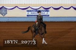 18YN_20773 thumbnail