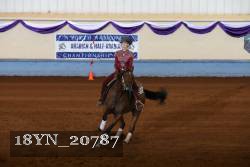 18YN_20787 thumbnail
