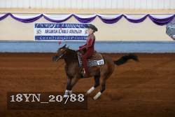 18YN_20788 thumbnail