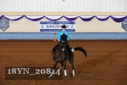 18YN_20814 thumbnail