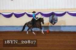 18YN_20817 thumbnail