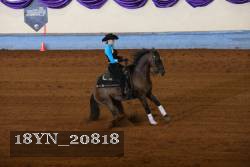 18YN_20818 thumbnail