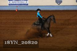 18YN_20820 thumbnail